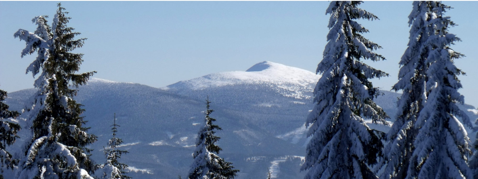 Żywiecki Park Krajobrazowy